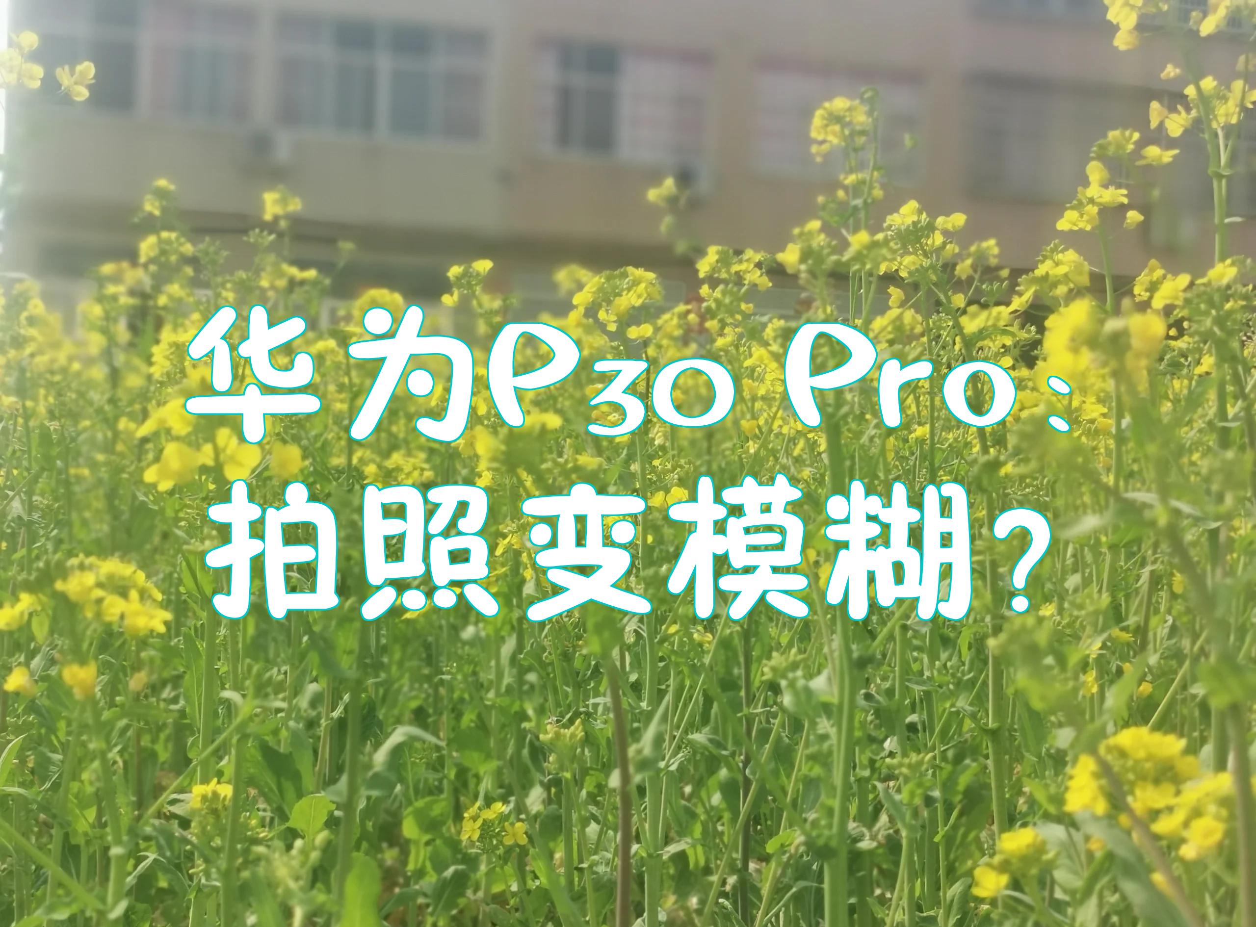 华为p30的拍照功能