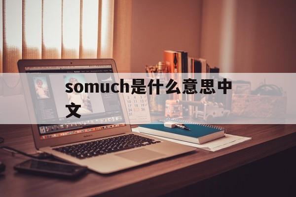 somuch是什么意思中文